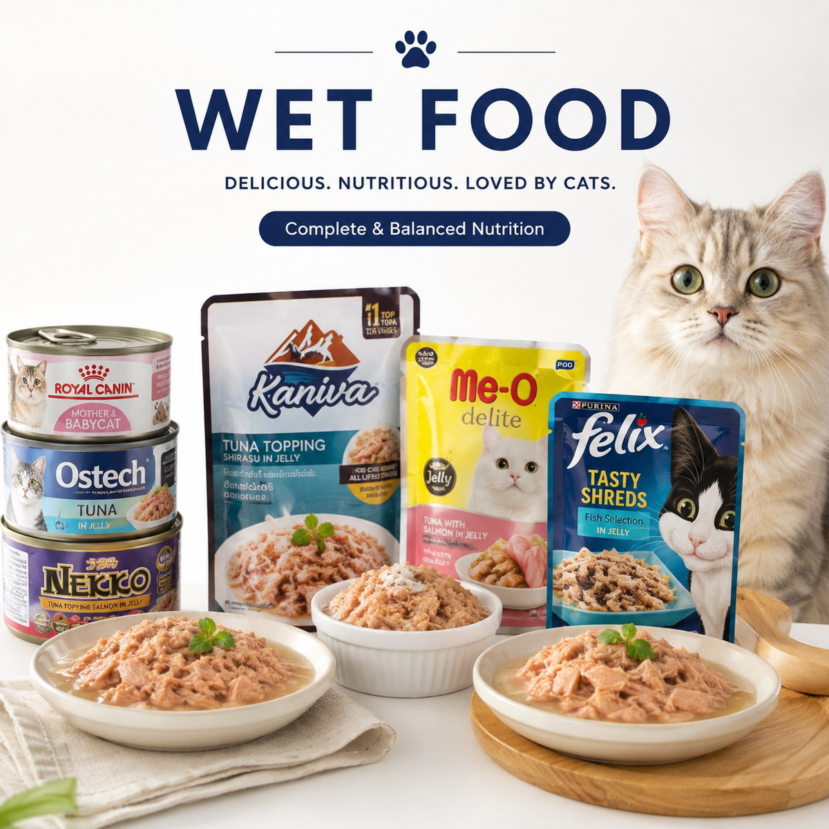 Cat Wet Food | ကြောင်အစာစို အမျိုးမျိုး - A Chit Taw Pet Shop