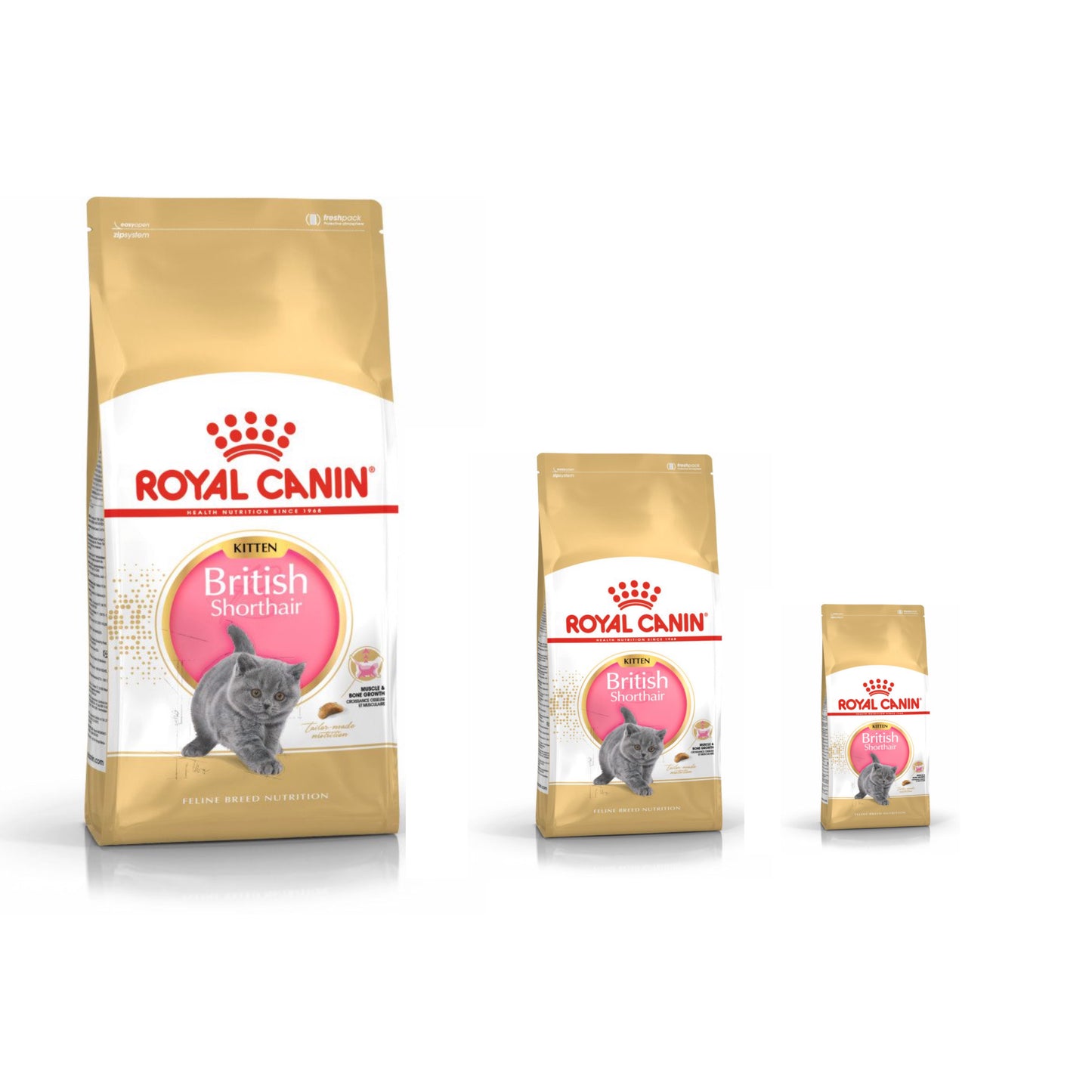 Royal Canin British Shorthair Kitten Original Bag