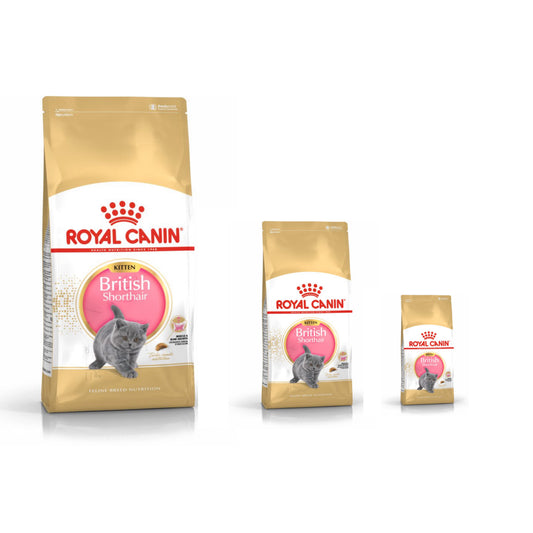 Royal Canin British Shorthair Kitten Original Bag