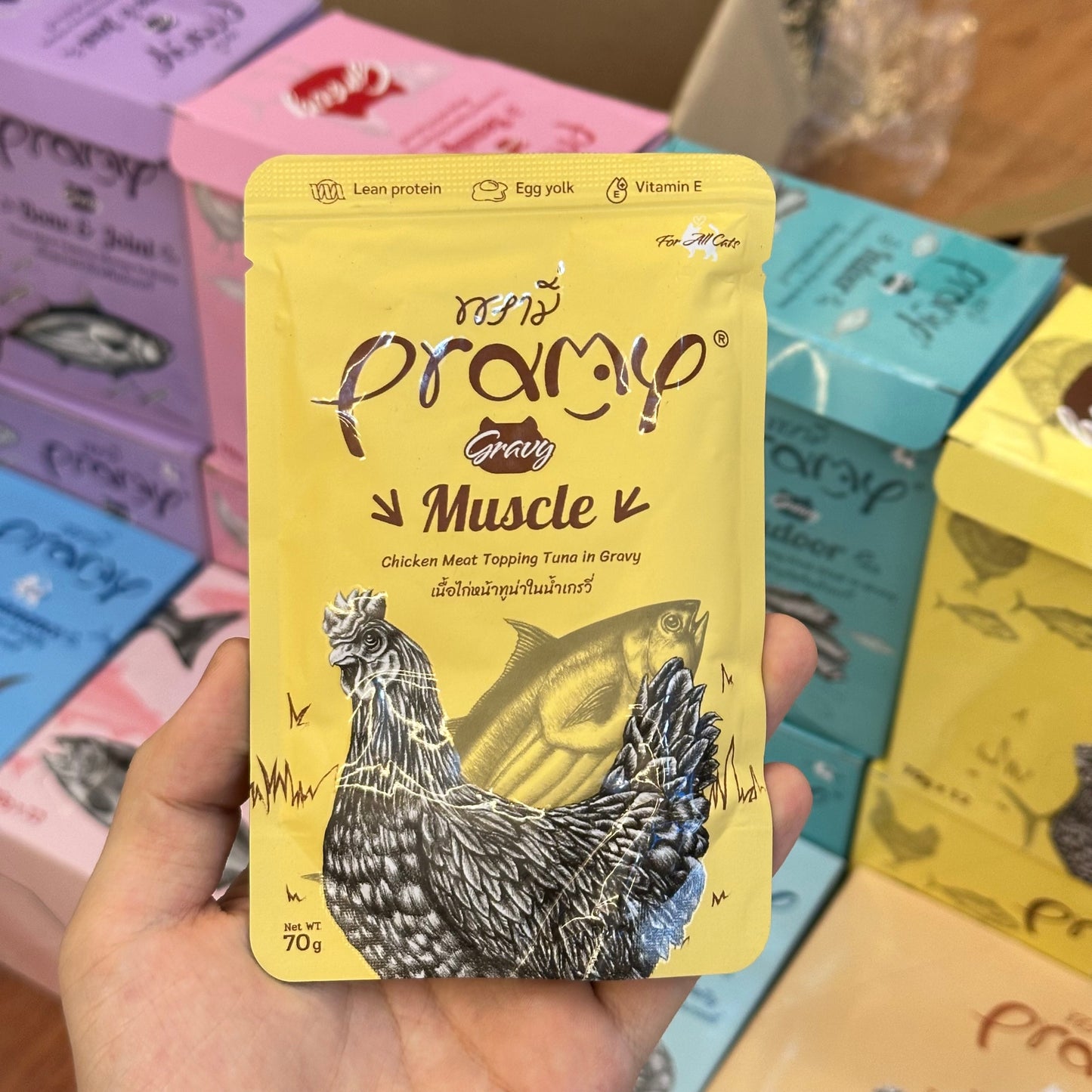 Pramy Adult Gravy Pouch 70g