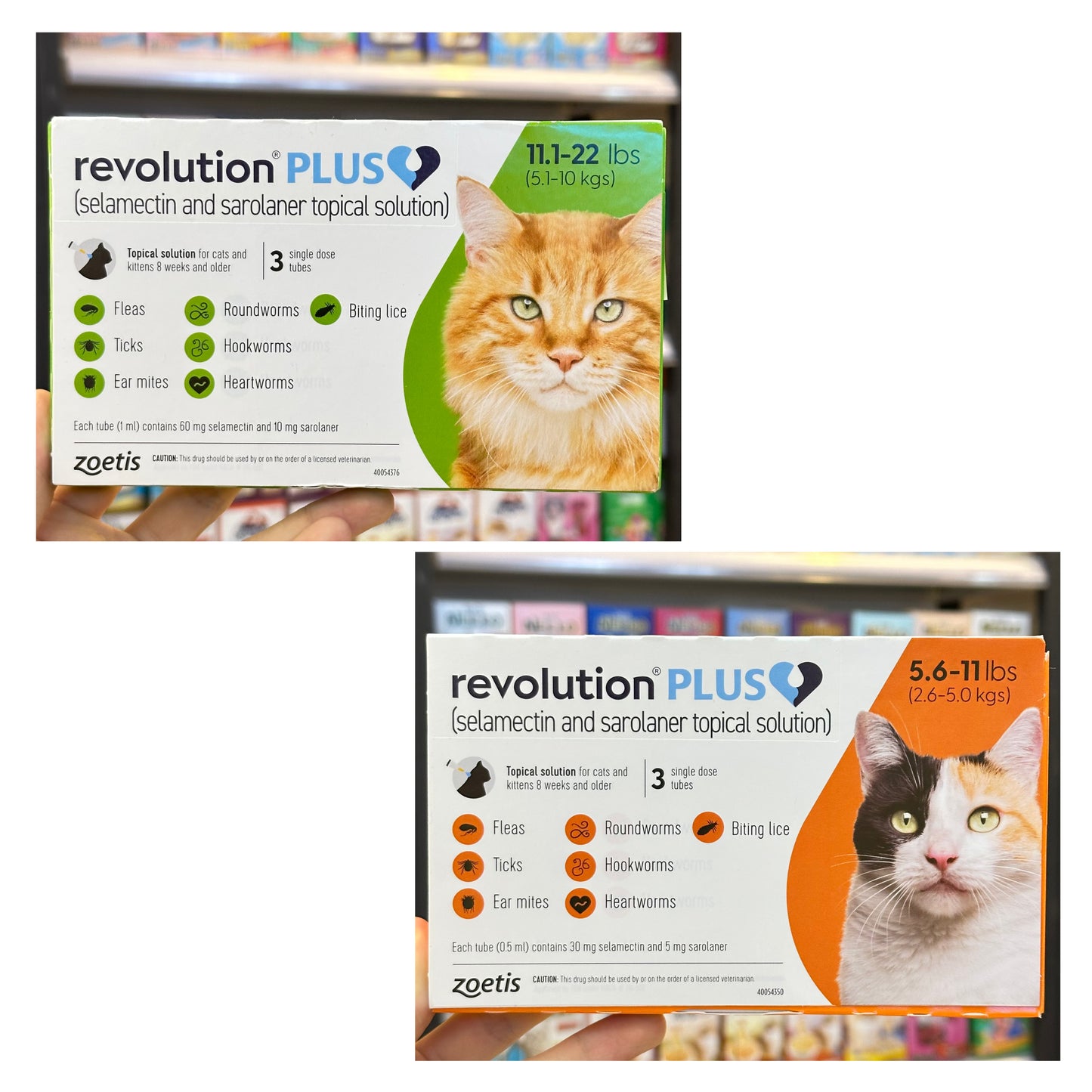 Revolution Plus For Cats(selamectin and sarolaner topical solution)