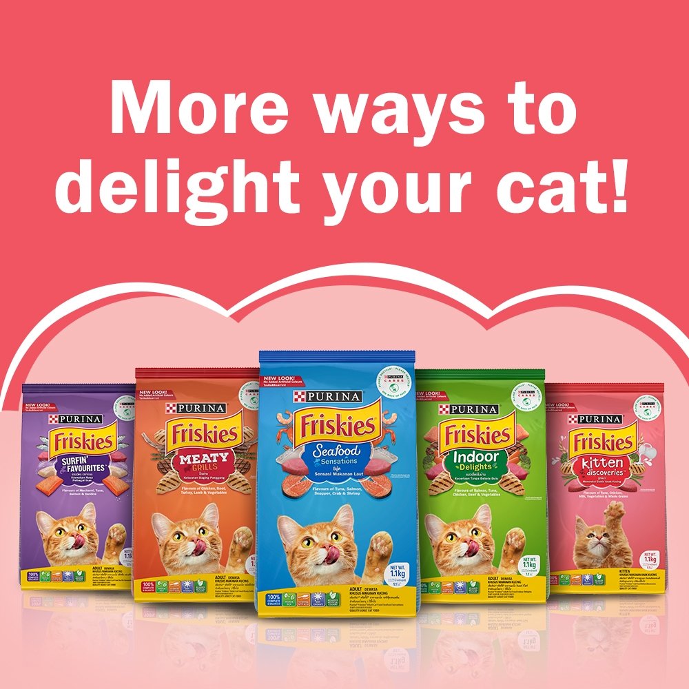 Friskies Cat Dry Food