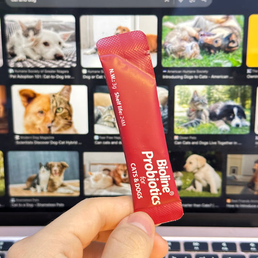Bioline Probiotics For Cats And Dogs 3g