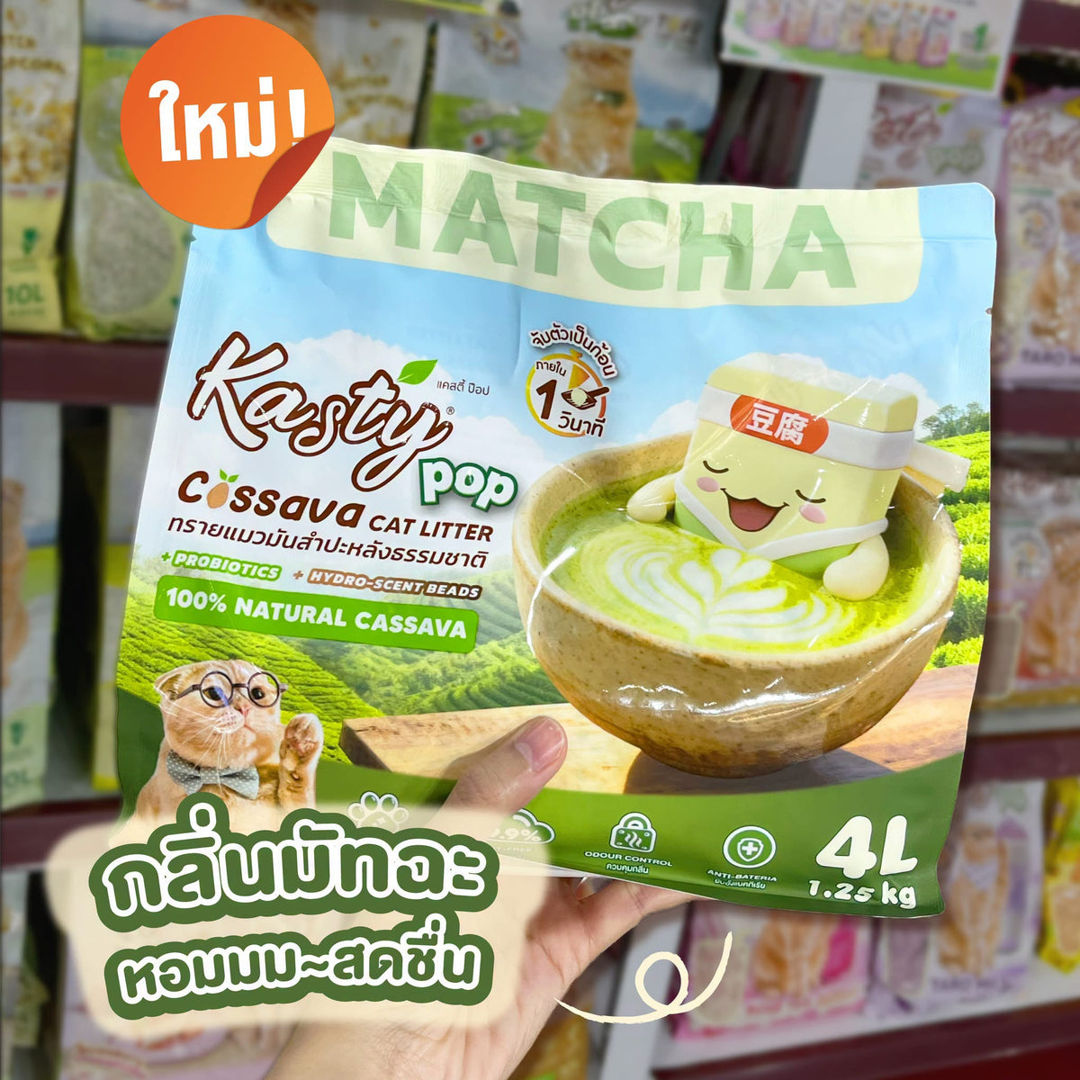 Kasty Pop Cassava Cat Litter