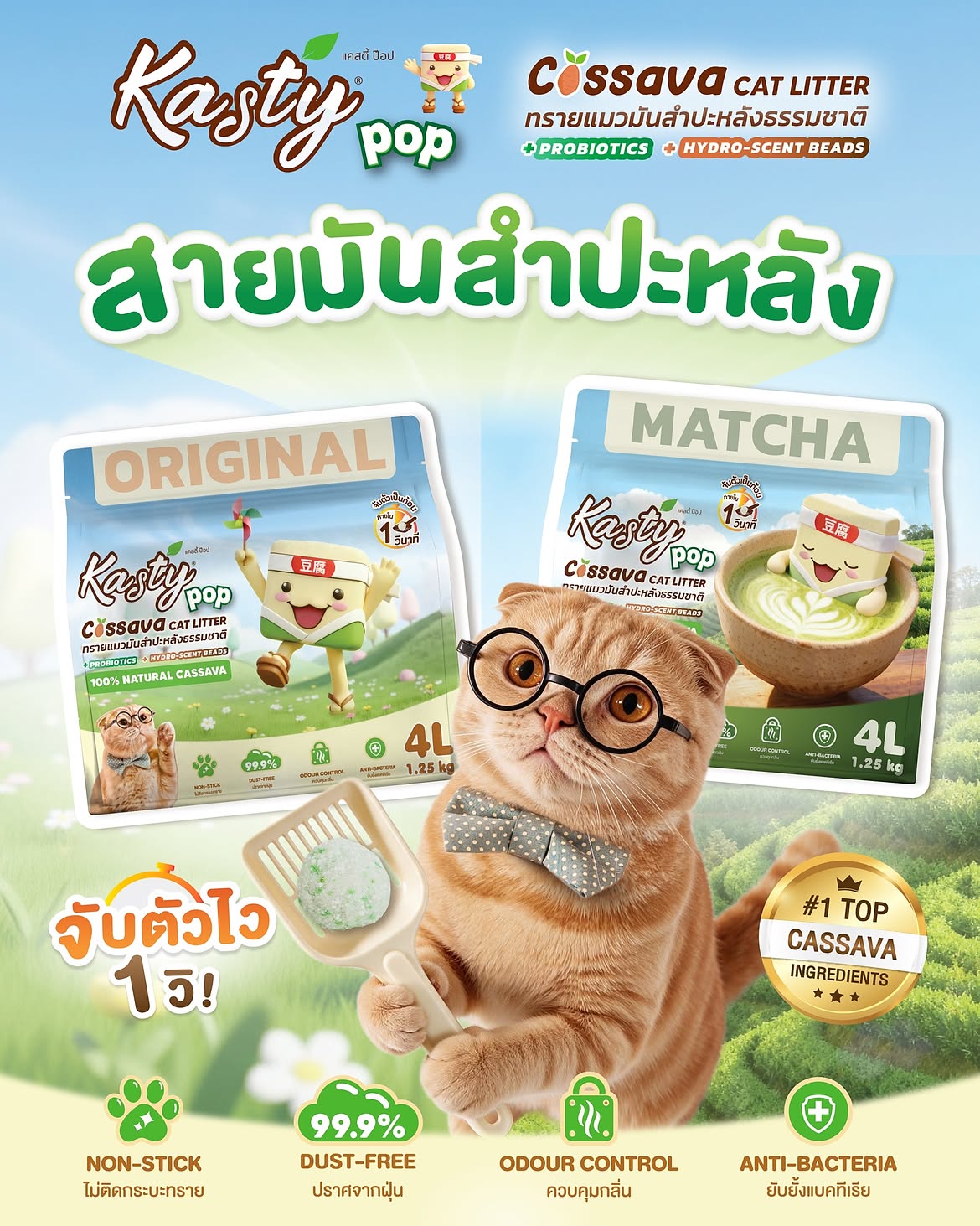 Kasty Pop Cassava Cat Litter