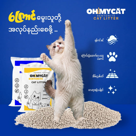 Oh My Cat (Cat Litter 10L)