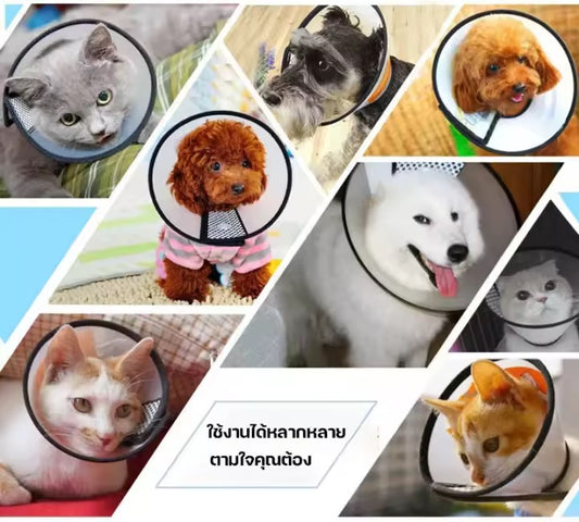 Pet Collar