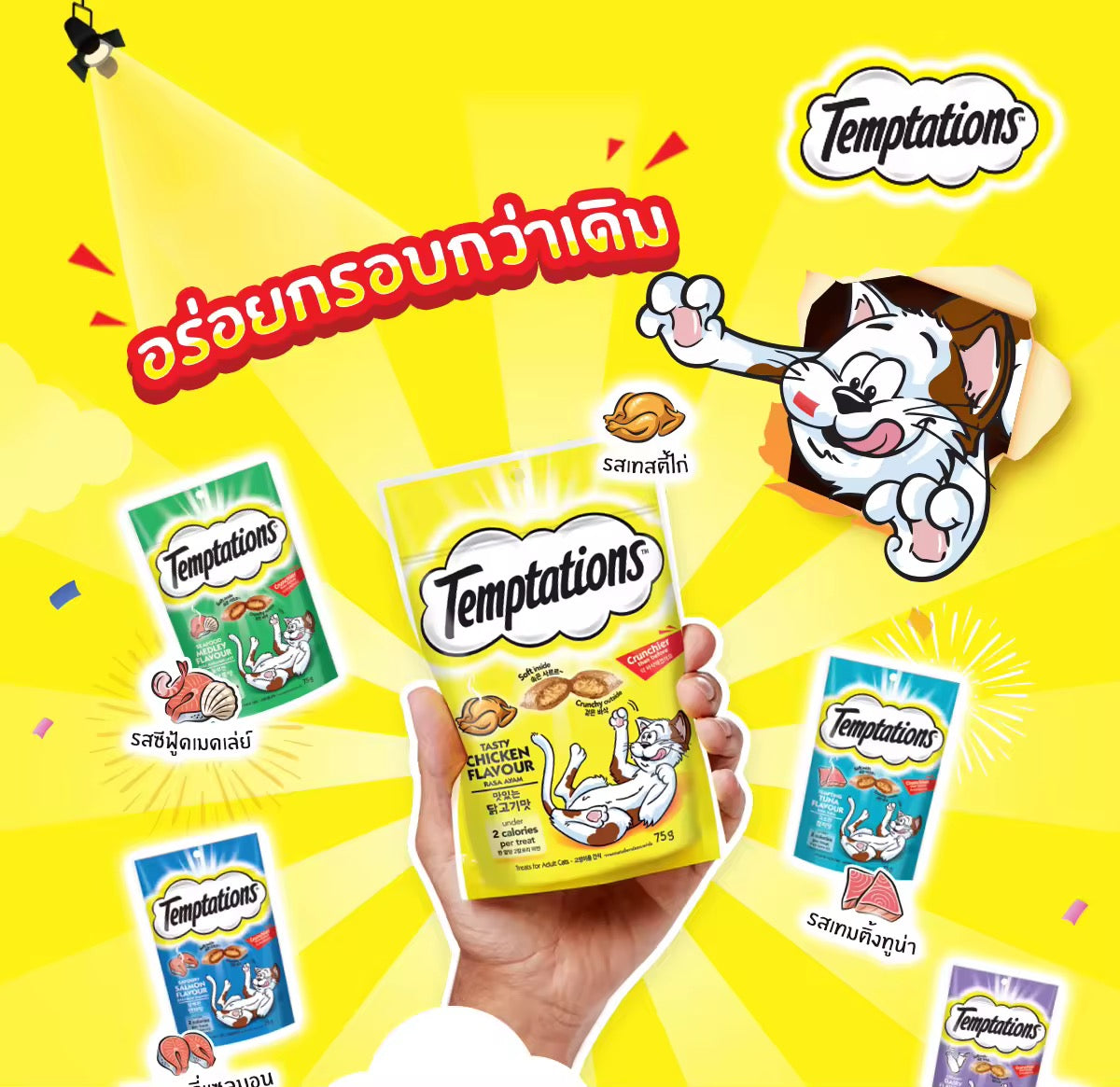 Temptations Pet Snack 75g