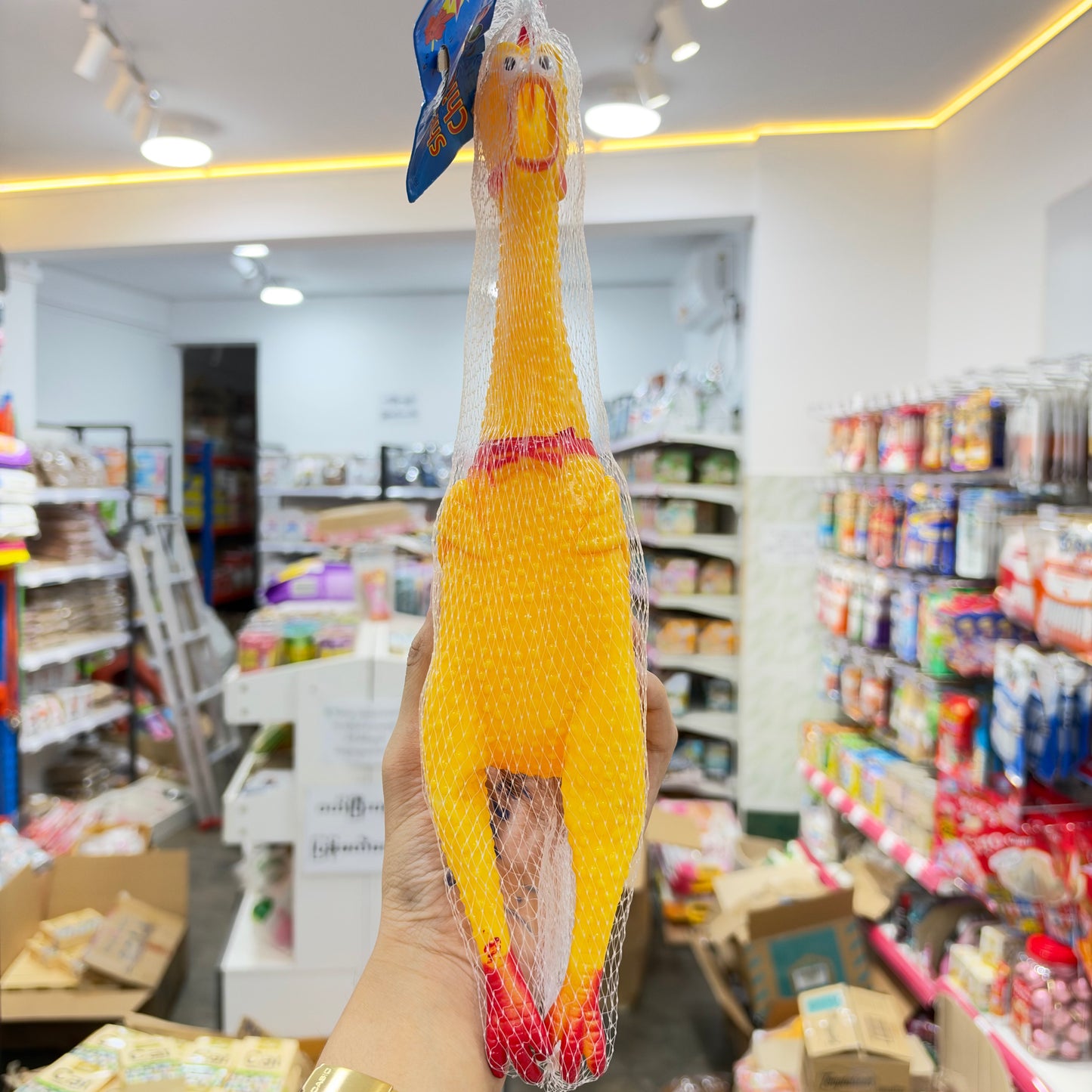 Chicken Toy