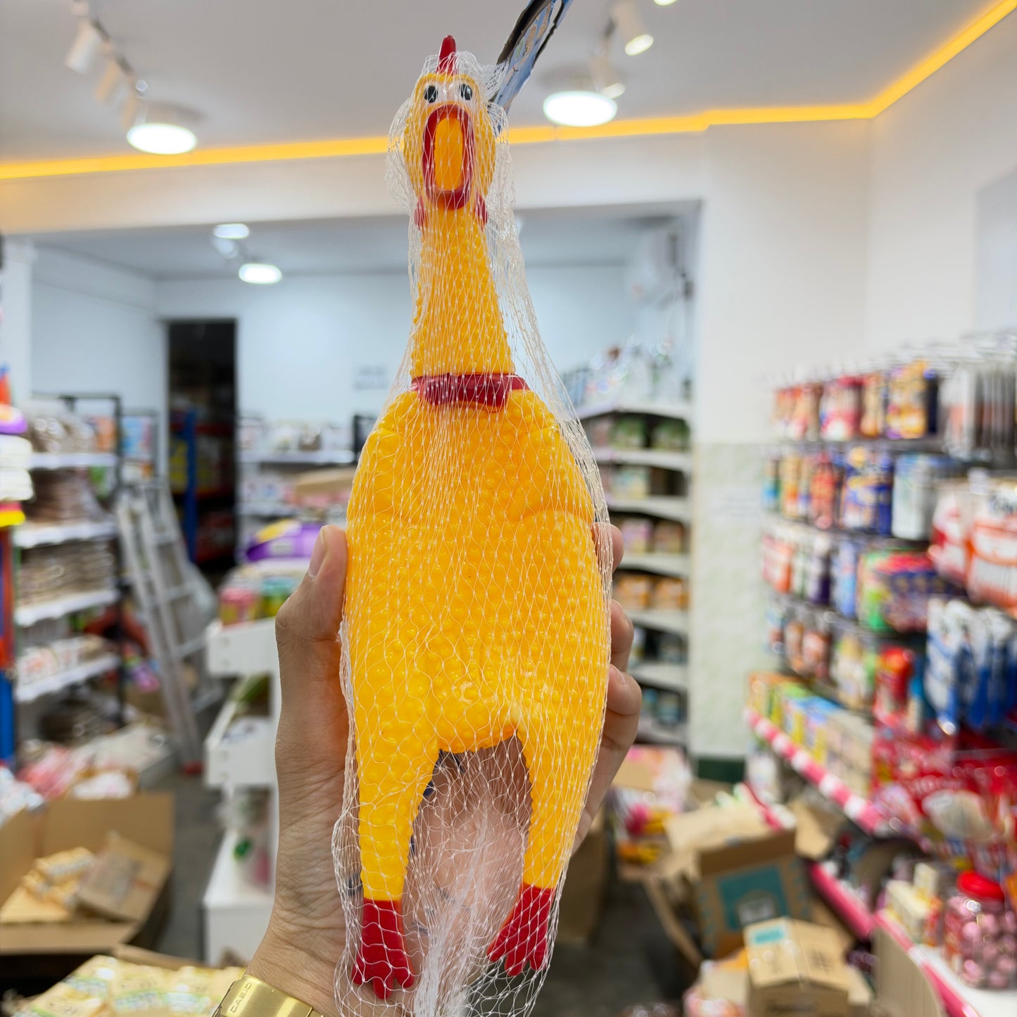 Chicken Toy