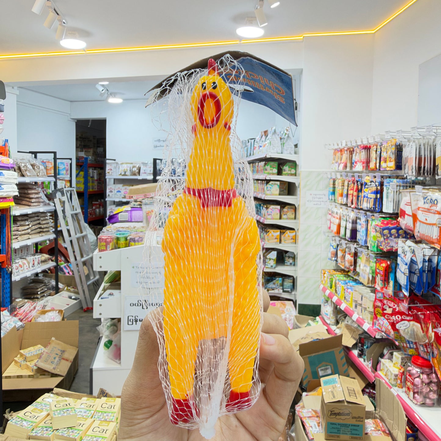 Chicken Toy