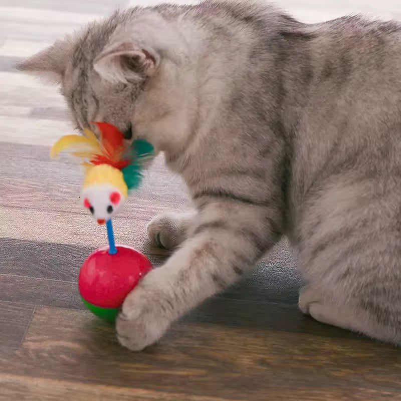 Play Toys For Cat