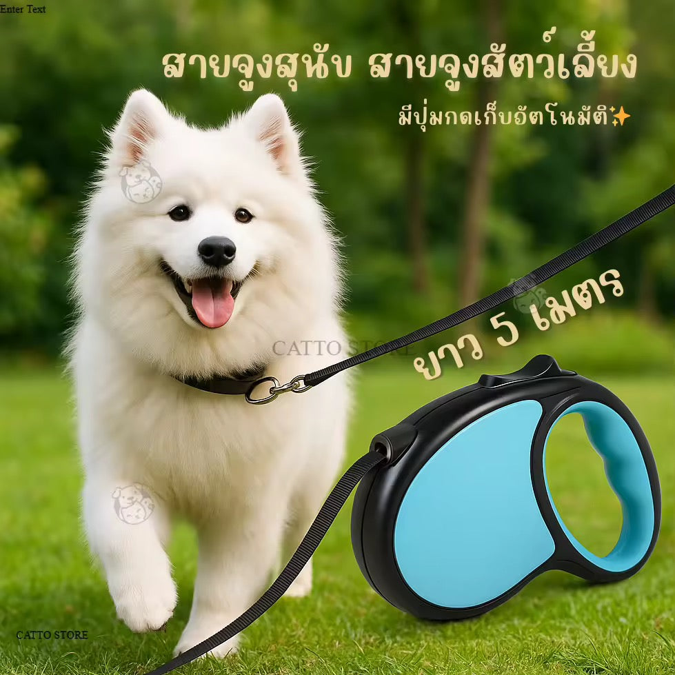 Dog Leash, Pet Leash, Automatic Leash with Lock Button, Can Pull the Rope Back by Itself, Length 5 Meters V