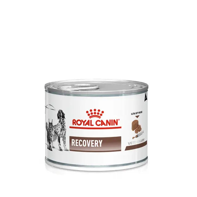 Royal Canin Recovery Ultra Soft Mousse Wet food for dogs & Cats 195g Can
