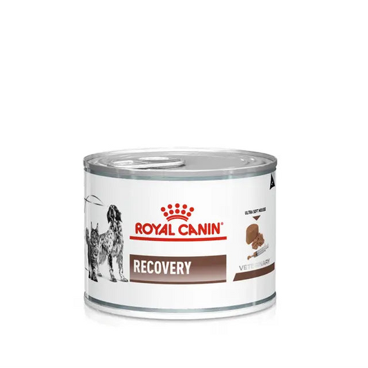 Royal Canin Recovery Ultra Soft Mousse Wet food for dogs 195g Can