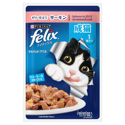Felix Adult Pouch 85g