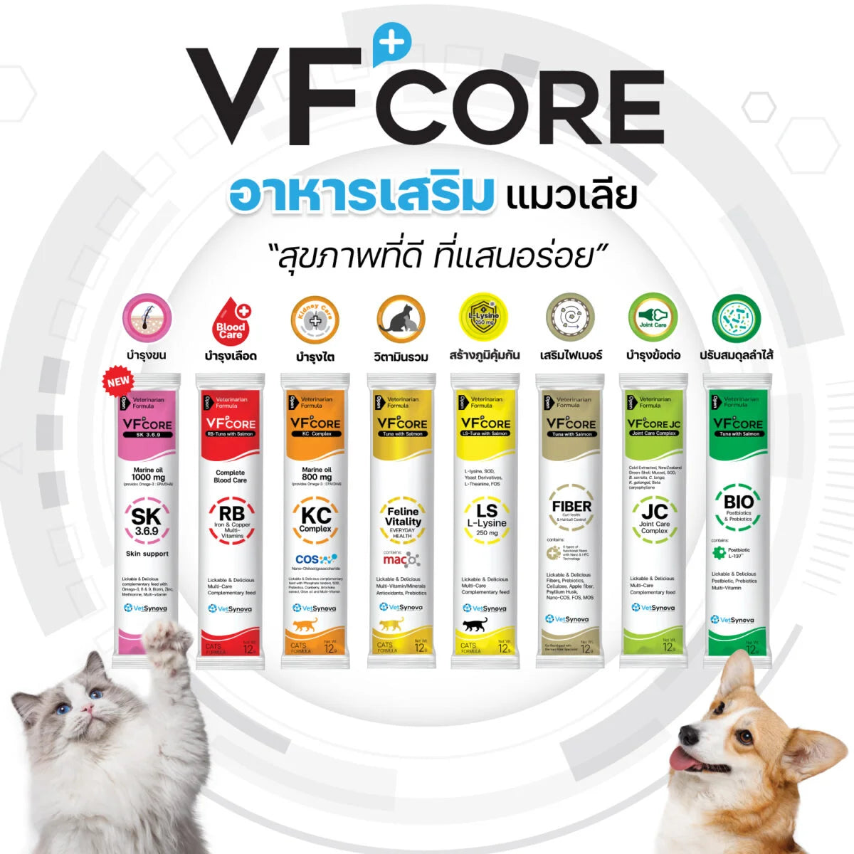 VF+ Core Veterinarian Formula Cat Creamy 12g