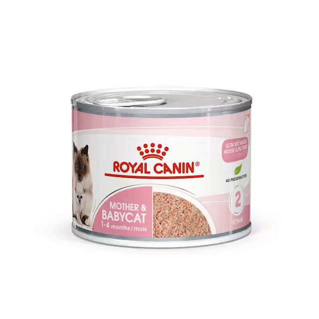 Royal Canin Mother & Babycat Mousse Wet Food For Cat 195g Can